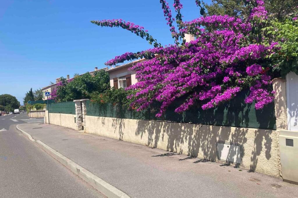 Magnifique Villa Avec Piscine Villeneuve-les-Maguelonne Luaran gambar